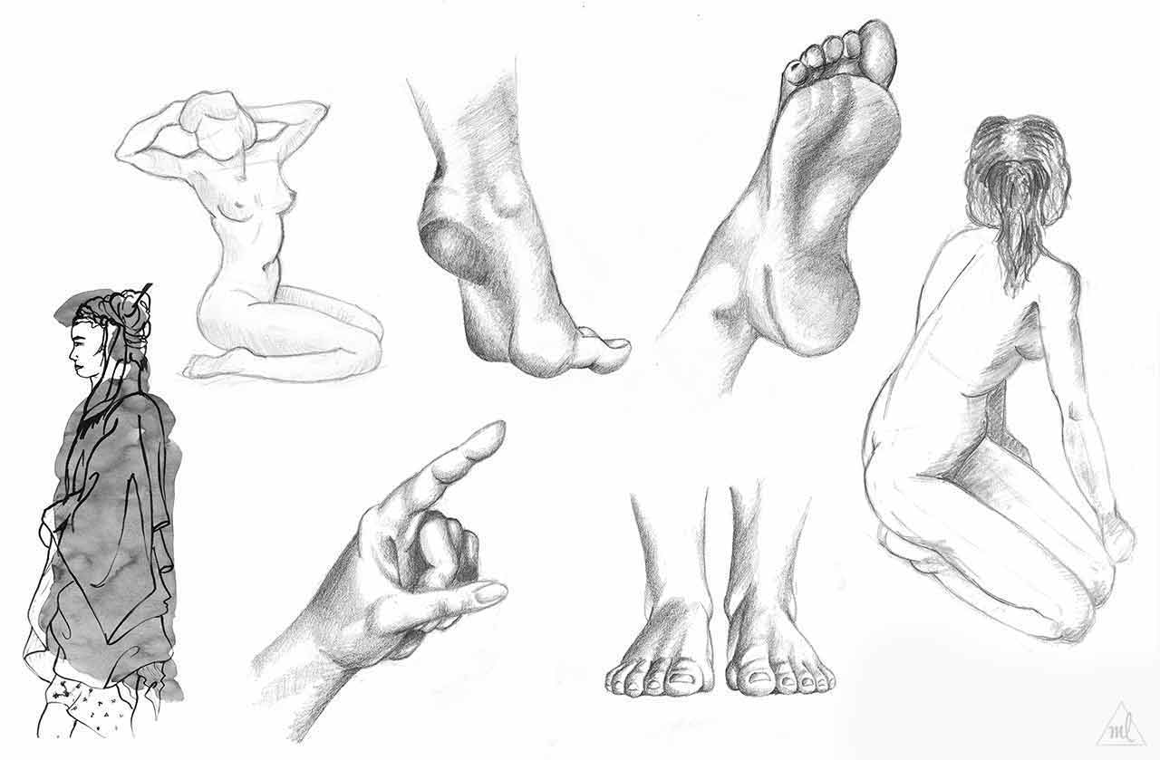 illustration drawing anatomy traditionnal